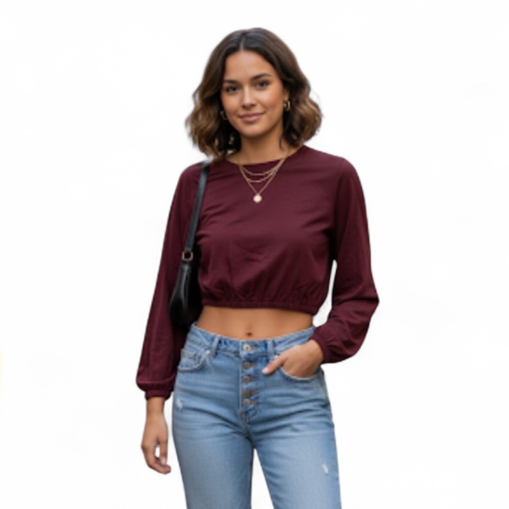 Aritzia Wilfred Long Sleeve Crop Top Small